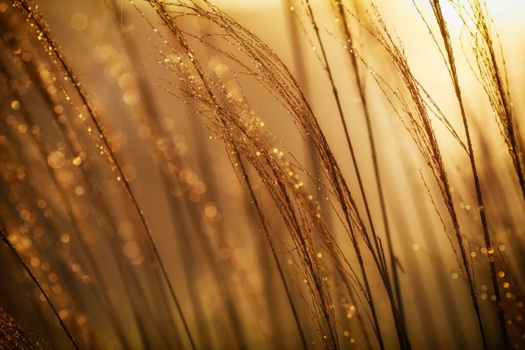 Understanding the Impact of Gold Tax on Investment Returns
